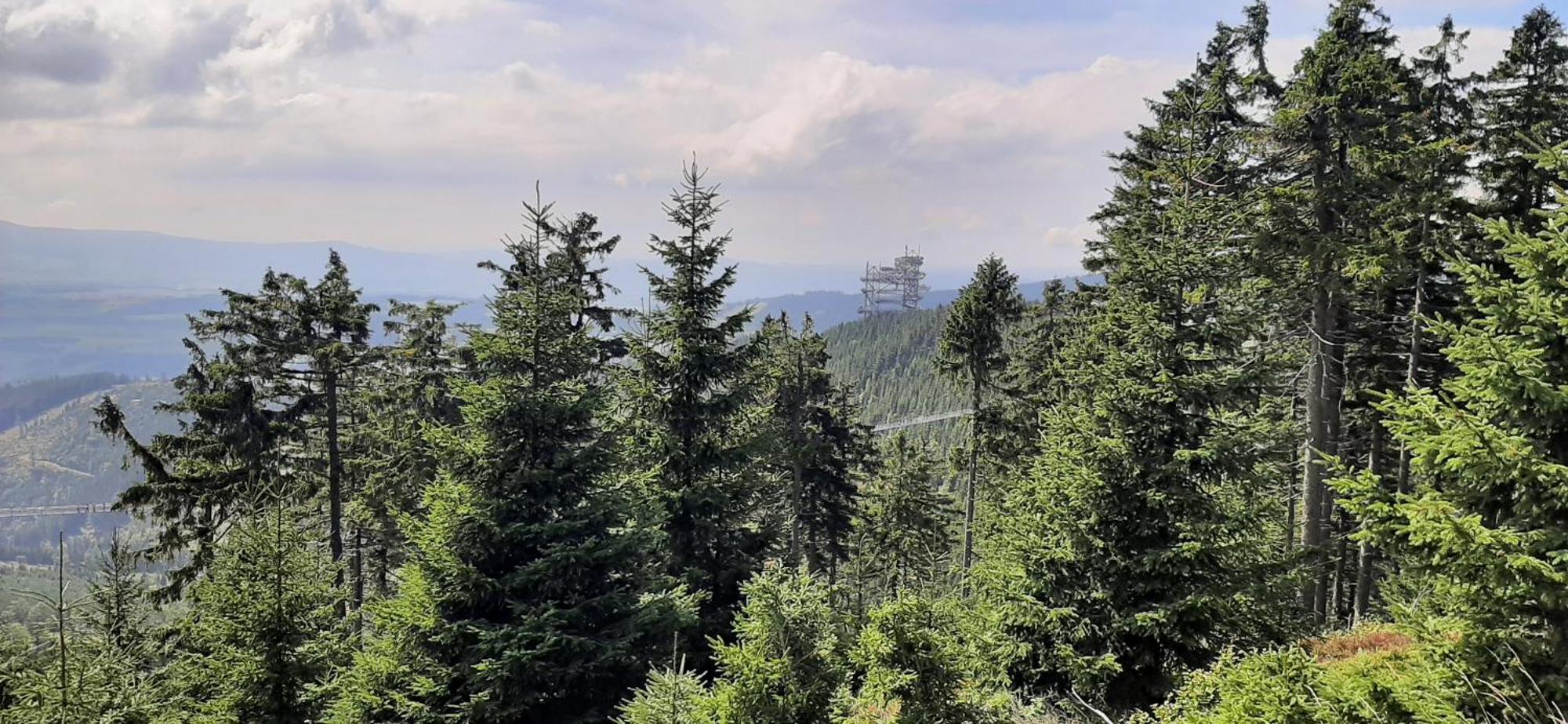 Dantar Hotel Kudowa Zdroj Luaran gambar